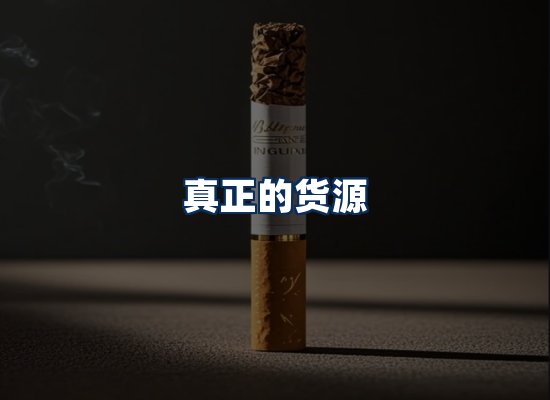 专业团队办公环境